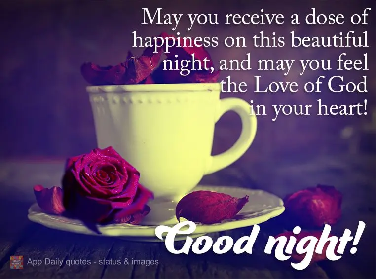 Que você receba uma dose de felicidade nesta linda noite e que possa sentir o amor de Deus em seu coração!  Boa noite!