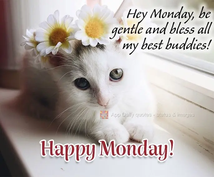 Hey Monday, be gentle and bless all my best buddies! Happy Monday!