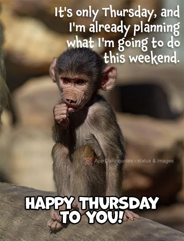 É quinta-feira ainda e já estou planejando o que vou fazer no fim de semana.  Boa quinta-feira para você!