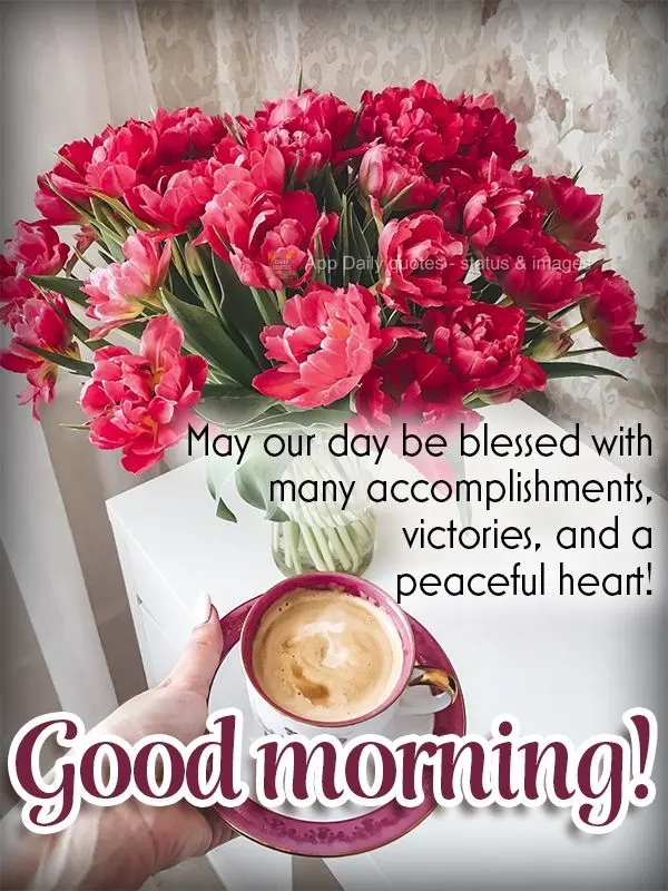 Que o nosso dia seja abençoado com muitas conquistas, vitórias e um coração cheio de paz! Bom dia!