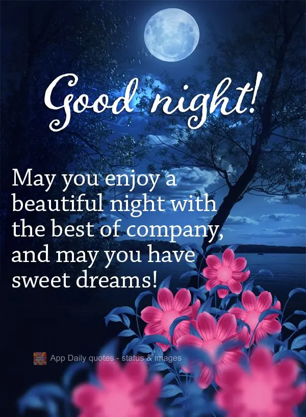 Que você possa desfrutar de uma linda noite em ótimas companhias e que tenha lindos sonhos! Boa noite!