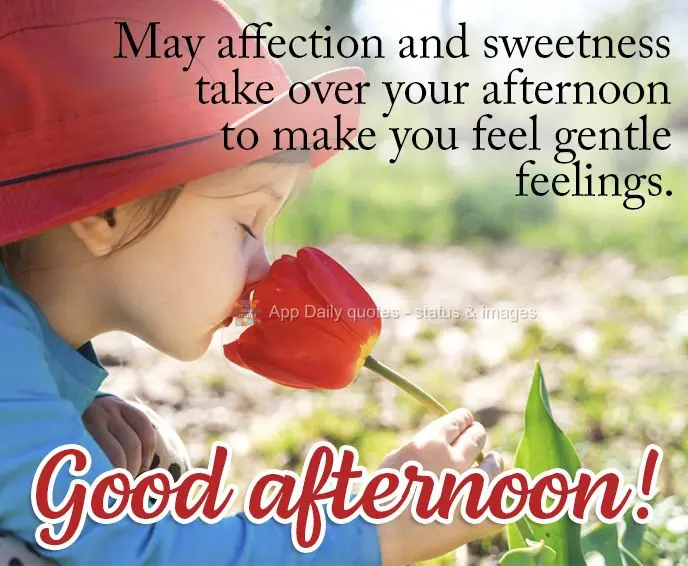 May affection and sweetness take over your afternoon and grant you gentle feelings. Good afternoon!