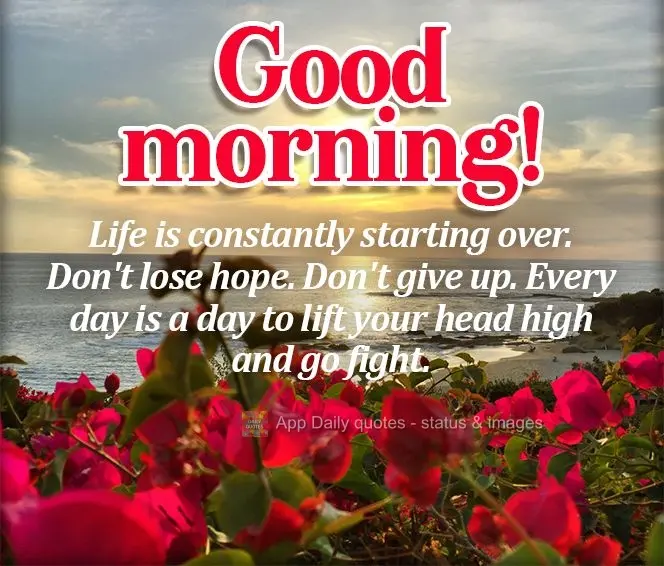 Life is constantly starting over. Don't lose hope. Don't give up. Every day is a day to lift your head high and keep fighting. Good morning!