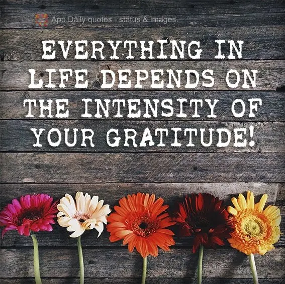 Everything in life depends on the intensity of your gratitude!