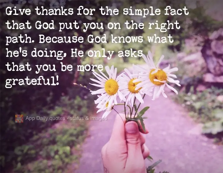 Agradeça pelo simples fato de que Deus te colocou no caminho certo, pois Deus sabe o que faz, Ele só espera que você agradeça mais!