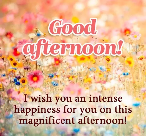 Desejo uma intensa felicidade para você nesta magnífica tarde! Boa tarde!