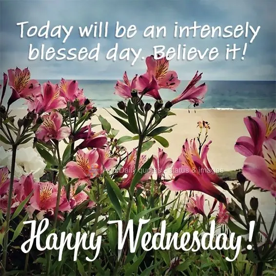 Hoje será um dia inteiramente abençoado. Acredite! Feliz Quarta-feira!