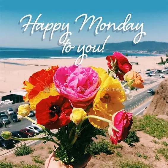 Feliz Segunda-feira para você!