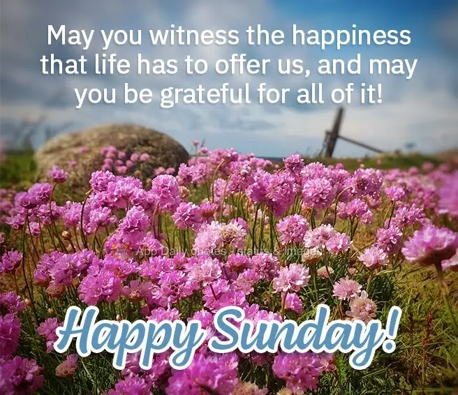 Que você possa presenciar as alegrias que a vida tem para nos oferecer, e que seja grato por cada uma delas! Feliz Domingo!