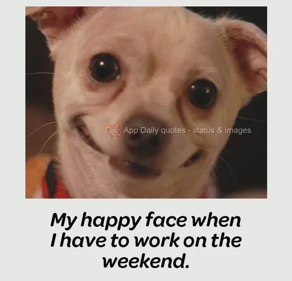 My happy face when I have to work on the weekend.