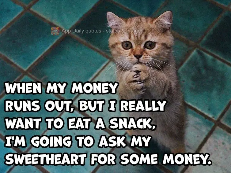 When my money runs out, but I really want to eat a snack, I'm going to ask my sweetheart for some money.