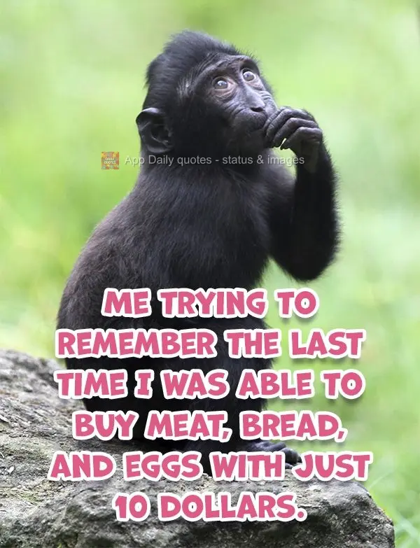Eu tentando lembrar a última vez que conseguia comprar carne, pão e ovos com apenas dez reais.