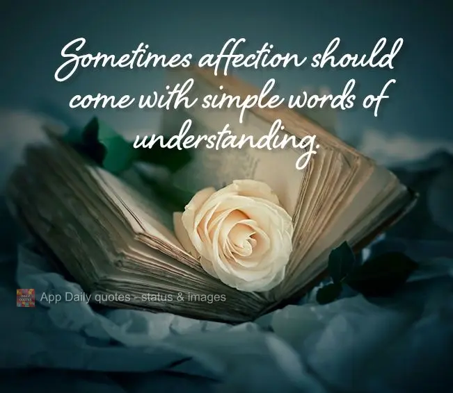 Sometimes affection should come with simple words of understanding.
