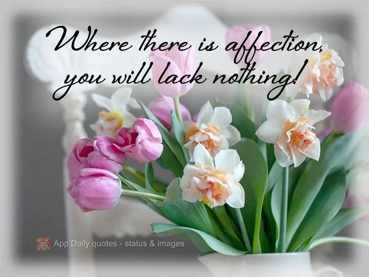 Where there is affection, you will lack nothing!