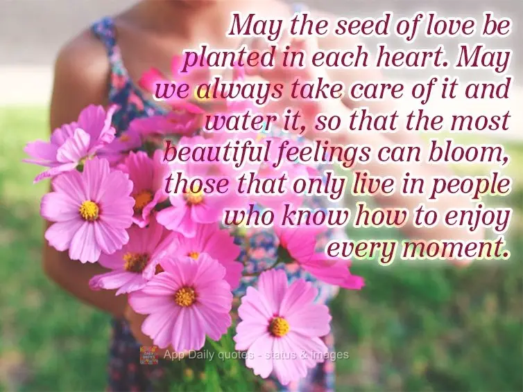 May the seed of love be planted in each heart. May we always take care of it and water it, so that the most beautiful feelings can bloom, those that only...