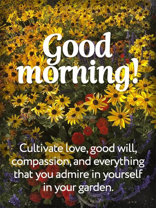 Cultive em seu jardim o amor, a bondade, a compaixão e todas as coisas que você possa admirar em si mesmo. Bom dia!