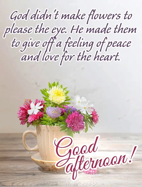 Deus não fez as flores para agradar aos olhos, mas para levar um sentimento de paz e amor para o coração. Boa tarde!