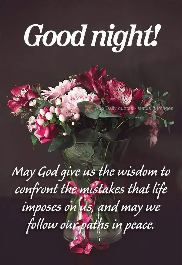 May God give us the wisdom to confront the mistakes that life imposes on us, and may we follow our paths in peace. Good night!