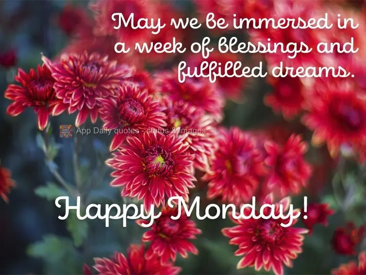 May we be immersed in a week of blessings and fulfilled dreams. Happy Monday!