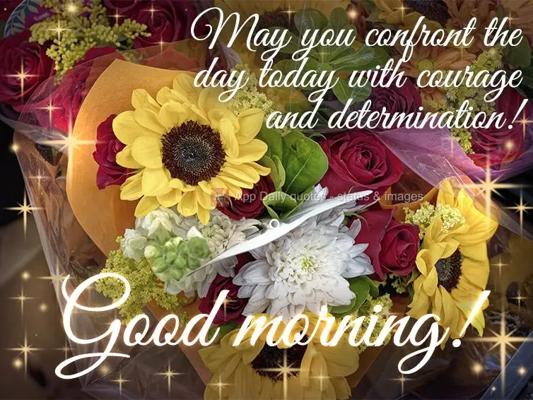 Que você possa enfrentar o dia de hoje com coragem e determinação! Bom dia!