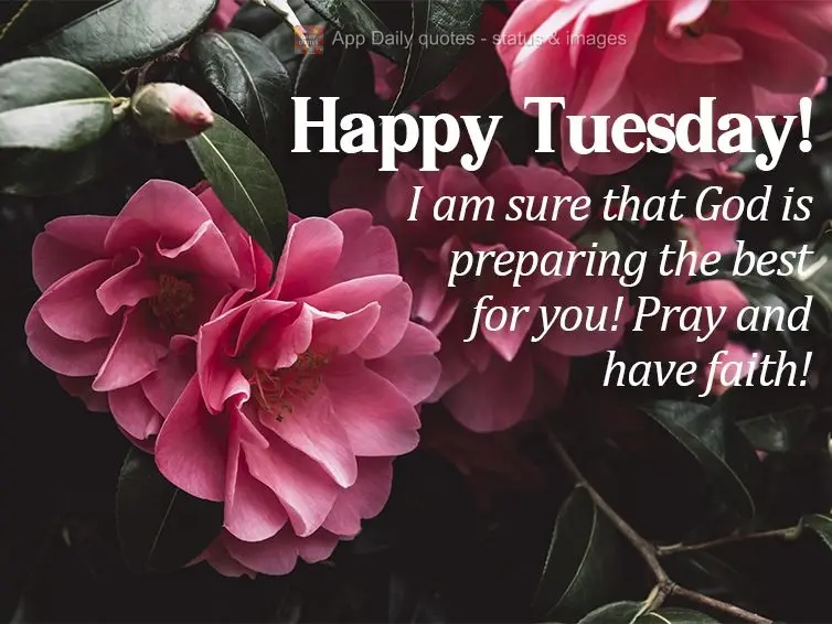 Tenha certeza que Deus está preparando o melhor para você! Ore e confie! Boa Terça-feira!