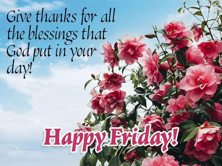 Give thanks for all the blessings that God gave you today! Happy Friday!