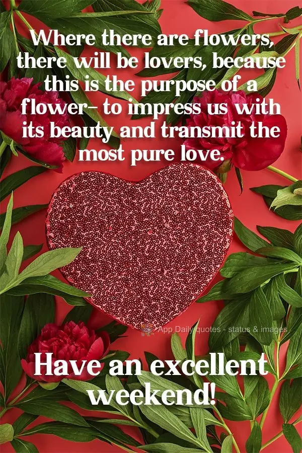 Where there are flowers, there will be lovers, because this is the purpose of a flower- to impress us with its beauty and transmit the most pure love. Ha...