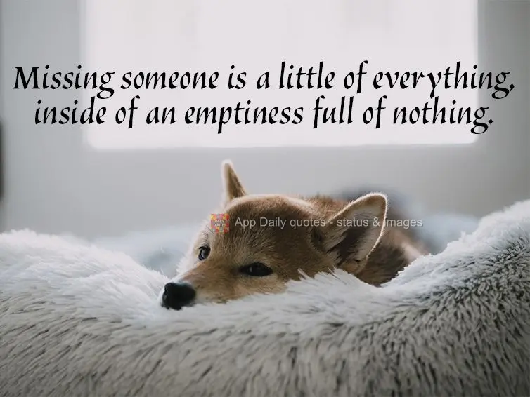 Missing someone is a little of everything inside of an emptiness full of nothing.