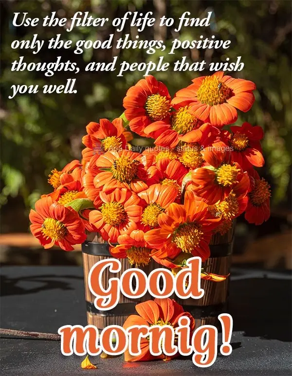 Use o filtro da vida para filtrar só coisas boas, pensamentos positivos e pessoas que te querem bem. Bom dia!