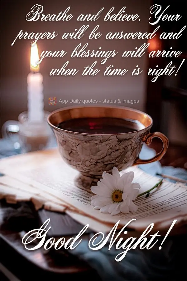 Respire e confie, suas preces serão atendidas e suas bênçãos chegarão no tempo certo! Boa noite!