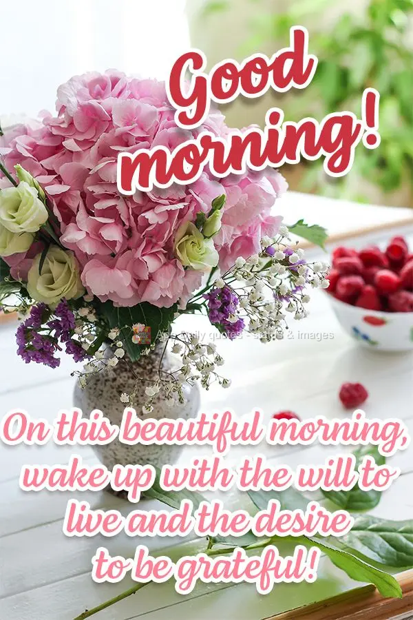 On this beautiful morning, wake up with the will to live and the desire to be grateful! Good morning! 