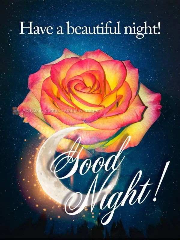 Tenha uma linda noite! Boa noite!