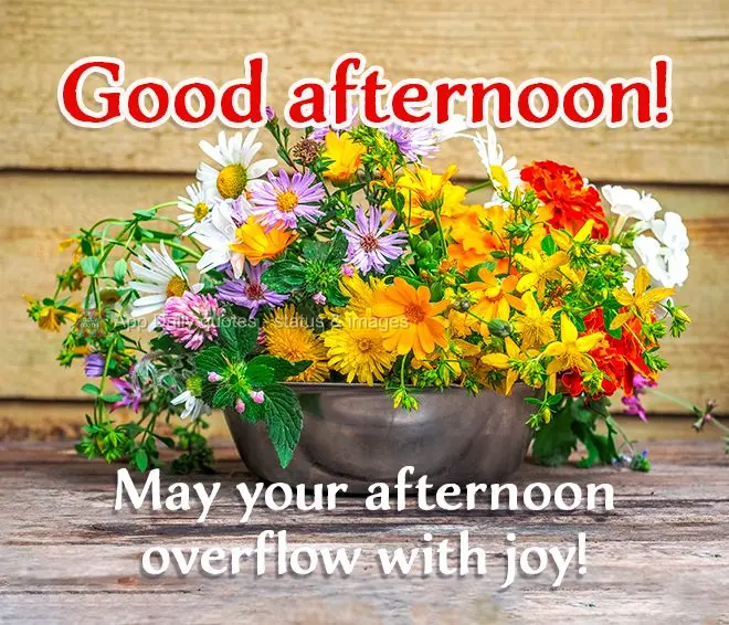Que sua tarde esteja transbordando alegria! Boa Tarde!