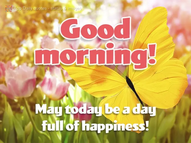 Que hoje seja um dia cheio de felicidade! Bom dia!