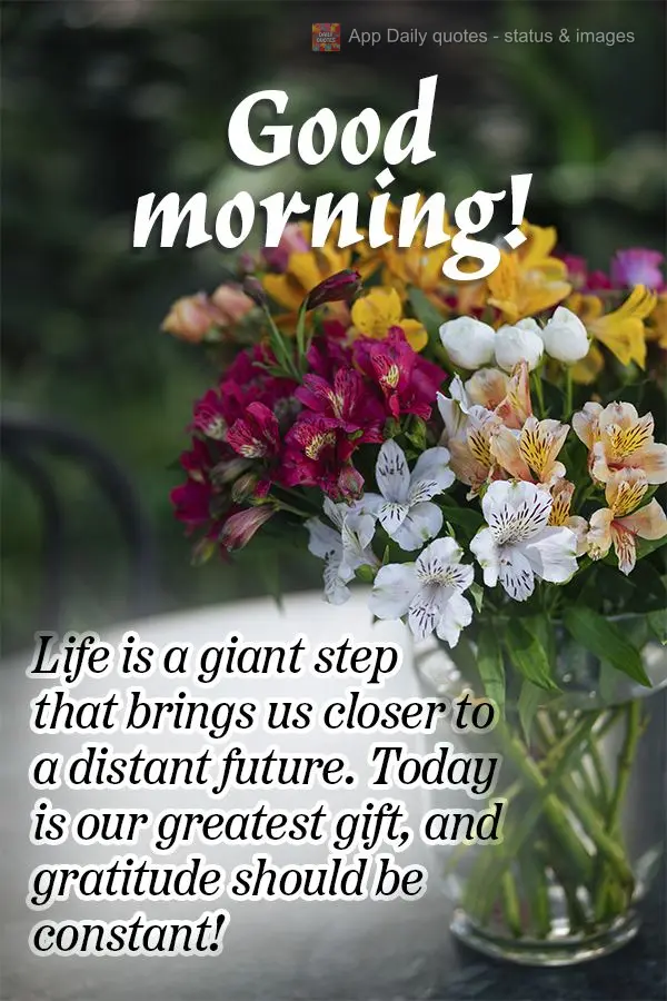 A vida é um passo largo que nos leva a um futuro distante, o hoje é nosso maior presente e a gratidão que deve ser constante! Bom dia!