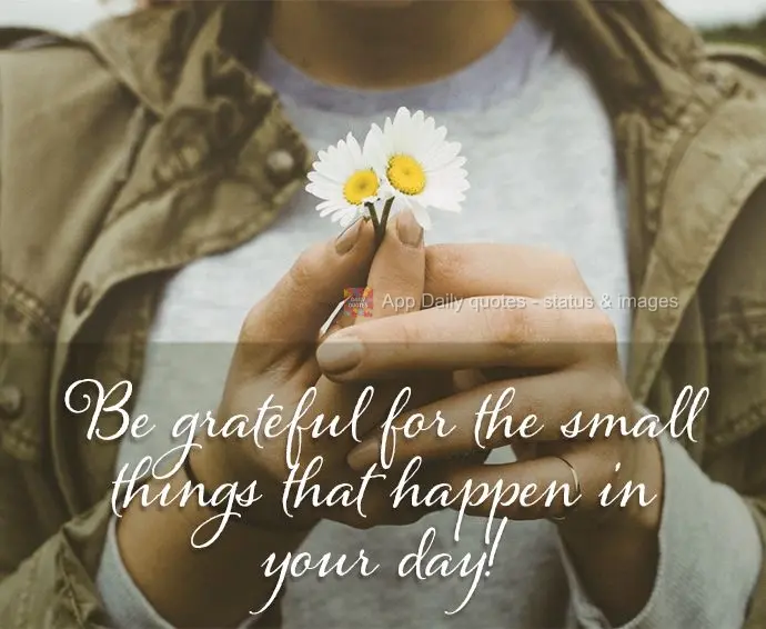 Seja grato pelas pequenas coisas que acontecem em seu dia!