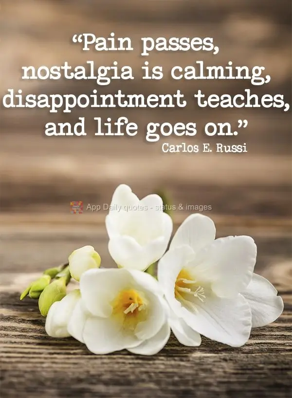 "Pain passes, nostalgia is calming, disappointment teaches, and life goes on." Carlos Eduardo Russi