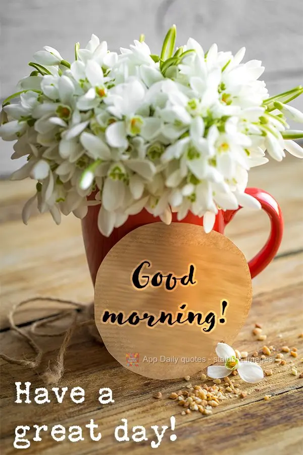 Tenha um ótimo dia! Bom dia!