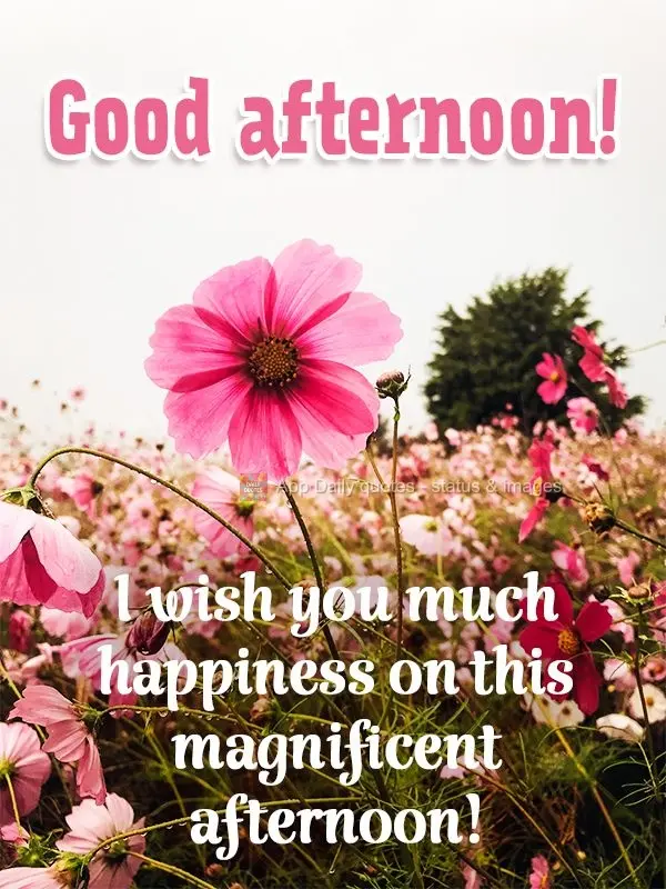 Te desejo muitas felicidades nesta magnífica tarde! Boa tarde!