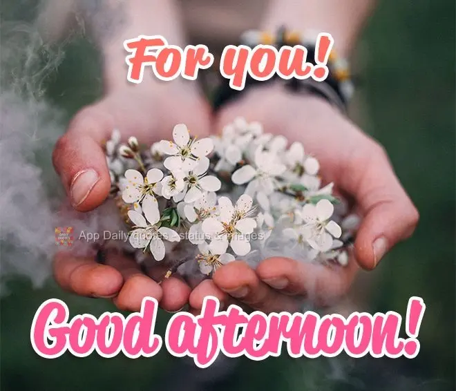 Para você! Feliz tarde!