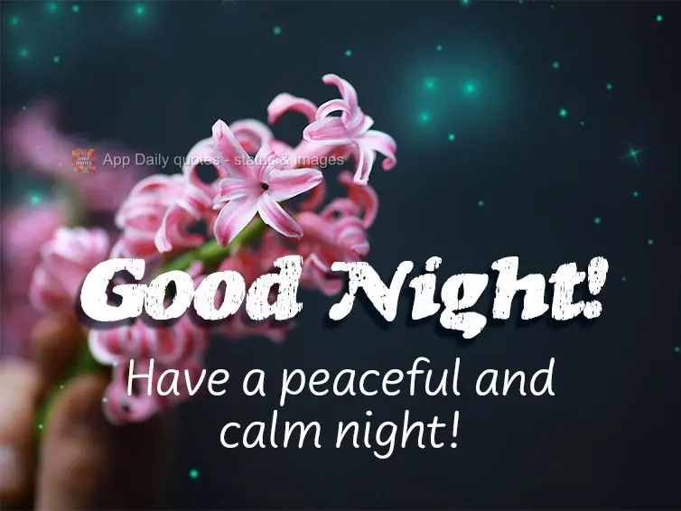Tenha uma noite de paz e tranquilidade! Boa noite!