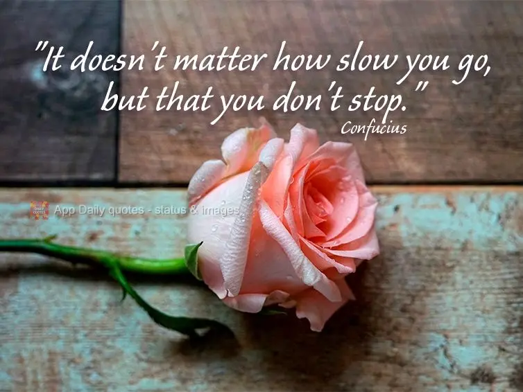 "It doesn't matter how slow you go, only that you don't stop." Confucius 