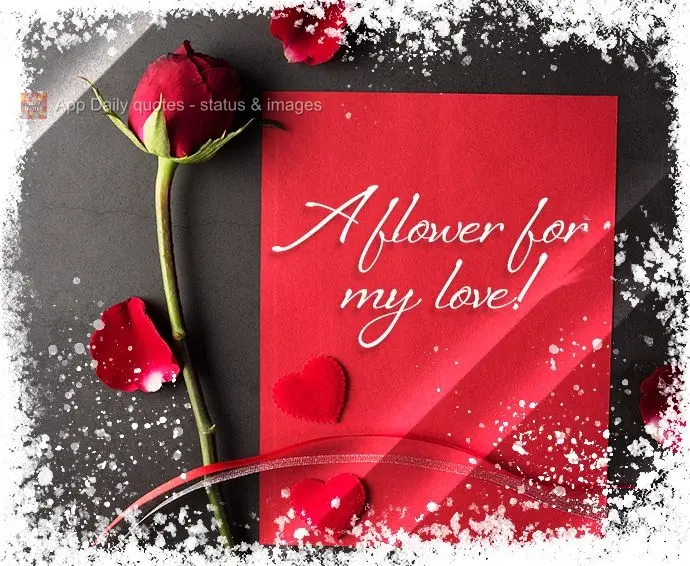 Uma flor para o meu amor!