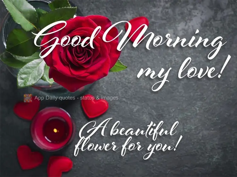 Uma linda flor para você! Bom dia amor! 