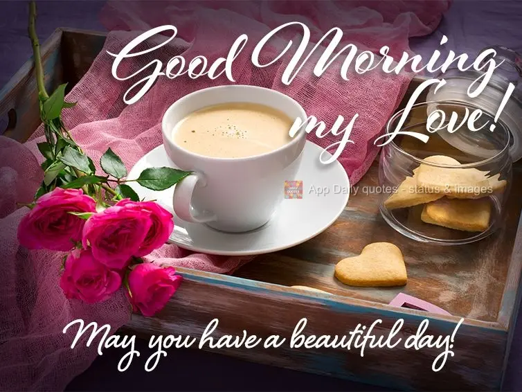 Que você tenha um lindo dia! Bom dia amor! 