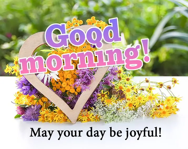 May your day be joyful! Good morning!
