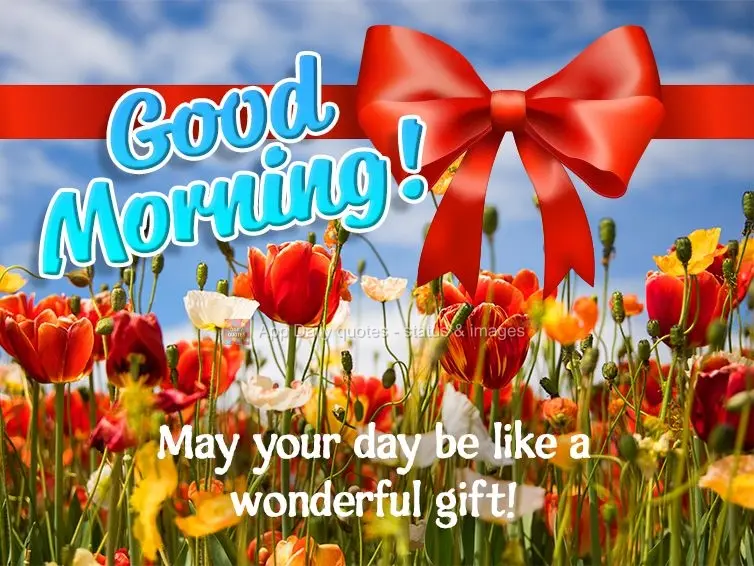 Que o seu dia seja como um lindo presente! Bom dia!