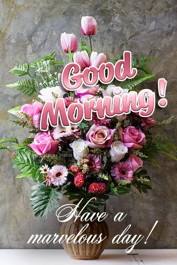 Tenha um dia maravilhoso! Bom dia!