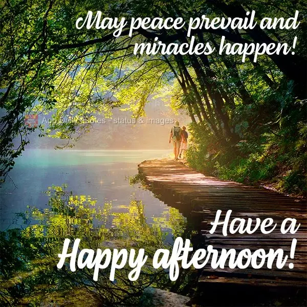 Que a paz prevaleça e milagres aconteçam! Tenha uma Feliz tarde!