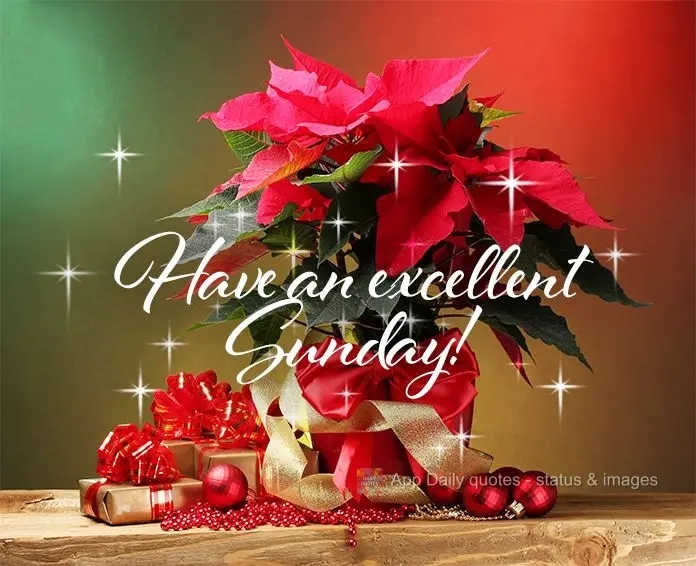 Have an excellent Sunday!